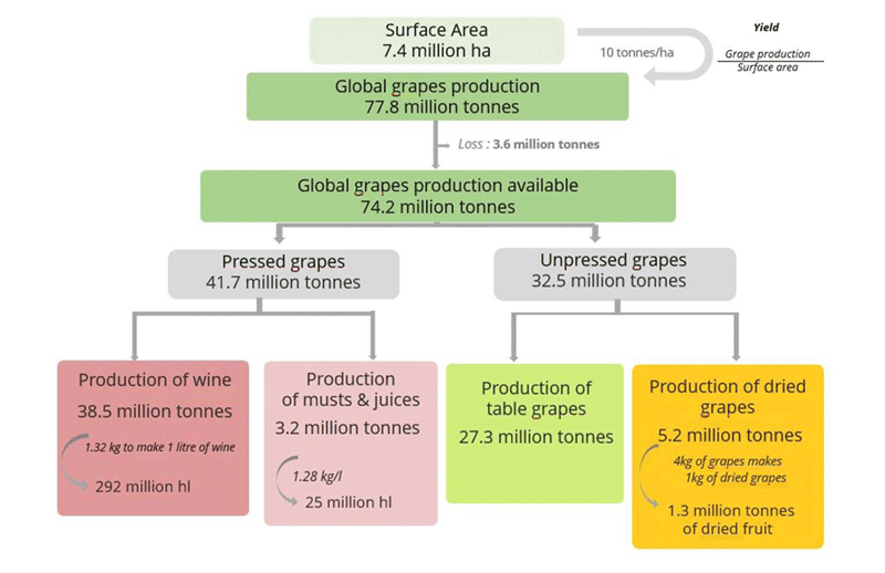 What happnes to 77.8 million tonnes of grapes | source: www.oiv.int